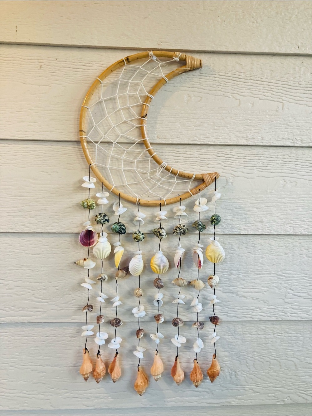 Crescent Moon Seashell Wall Hanging - Natural & White